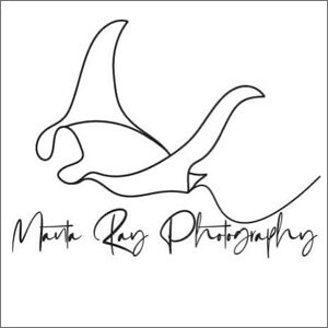 Manta Ray Photography